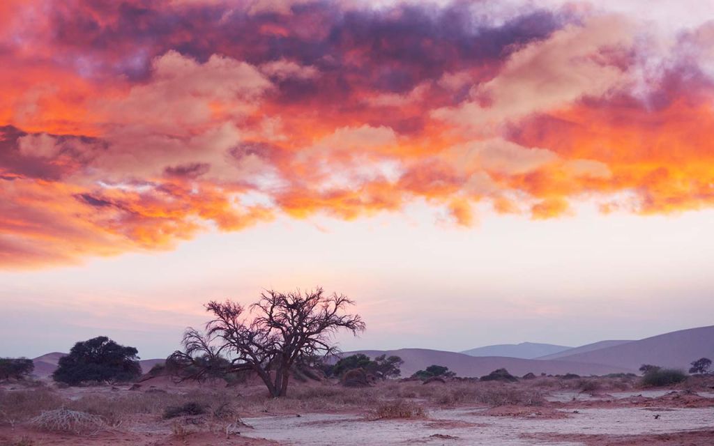 The Namibian Dessert.